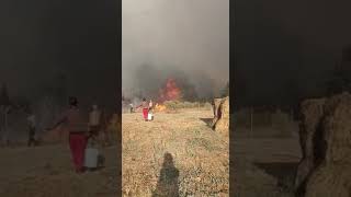 Los vecinos de Losacio intentan frenar el fuego con cubos de agua