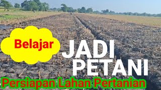 Pesiapan Lahan pertanian  Tanam Jagung