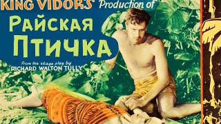 Райская птичка (Bird of Paradise). Приключенческая драма 1932