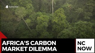 Africa's Carbon Market Dilemma