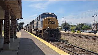 The summer trains of Lisle IL