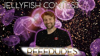 ReefDudes 1k Subscriber JellyFish Art Nano Giveaway