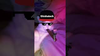 Vaping cat | Smoking cat with Elfbar