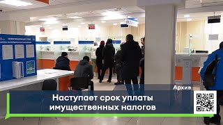 Наступает срок уплаты имущественных налогов