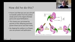 B6-4 Mendel's Experiments