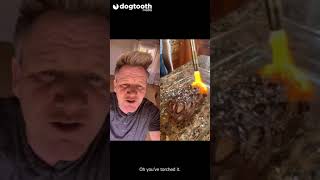 Bloke Turns British Classic Dinners Into 'Abominations' That Gordon Ramsey HATES || Dogtooth Media