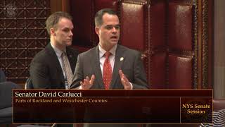 Carlucci's Problem Solving Court Bill Passed in the Senate