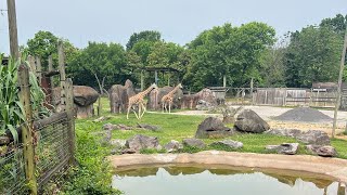 Family Trip to the Knoxville Zoo