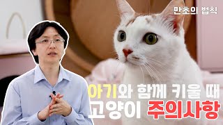 고양이 입양 전! 임산부,아기가 있는 가정에서 입양할 때 주의할 점ㅣ수의사가 말해주는 만초의 법칙✅:고양이 입양 전 주의사항🐺