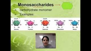 Ch. 2B - Carbohydrates