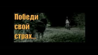 Победи свой страх / Overcome your fear