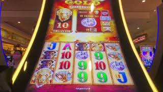 Got Amazing Buffalo Gold line hit |Las Vegas Casino