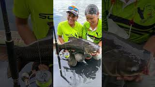 Team Seahawk Black Gator Reel (Limited Edition) in Action