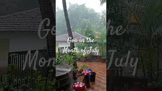 It's raining heavily in Goa right now...