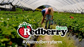 Redberry Farm | Garden Route