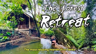 THE FOREST RETREAT   |  deniyaya  ,Sri  lanka  | explore day vlog 09