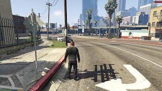 Grand Theft Auto V High Settings GT 640/C2D E7300