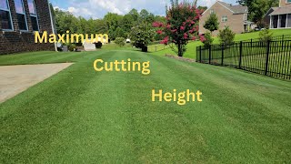 Maximum Cutting Height for Bermuda