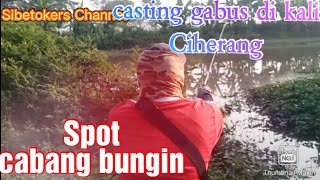 Casting gabus di sungai Ciherang ,,cabang bungin 👍🙏