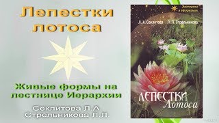 Книга "Лепестки лотоса". Живые формы на лестнице Иерархии