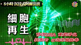 【8小時細胞重塑】科學家無法解釋爲什麽此音頻可以治愈全身|528Hz+432Hz頻率改變整個身體|修復DNA|抗衰老|重塑淨化|細胞再生|排毒冥想音樂