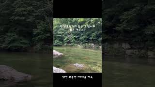 배내골 계곡 | 양산시 SNS 서포터즈 4기