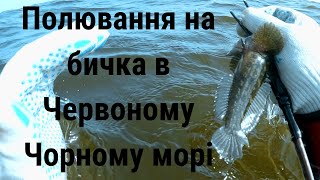 Підводне полювання на бичка: Червоне Чорне море біля Одеси