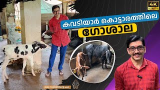 കവടിയാർ കൊട്ടാരത്തിലെ ഗോശാല ! Goshala in Kowdiar Palace 🐄🐄🐄