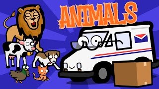 Learning Animals Song With Mail Truck Mr. Curious - Baby, Toddler, Kindergarten Kids Learning Video