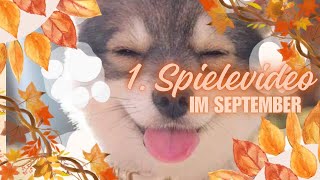 1. Spielevideo im September #sparspiel #umschlagmethode