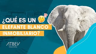 🤯🐘¿Qué es un elefante blanco inmobiliario?🤯🐘