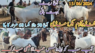 Tando Adam Bakra Mandi | Latest update today | Eid ul adha 2024 | Bakra Eid 2024 | date 15/06/2024