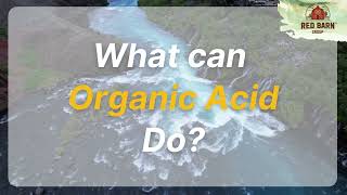 What Can Organic Acid Do? | #redbarn #aqua #aquaculture #thailand