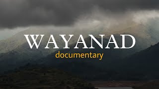 Slow cinematic video from Wayanad