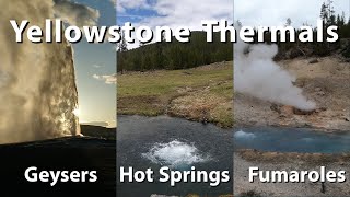 Amazing Yellowstone Thermals - Old Faithful, hot springs and more!