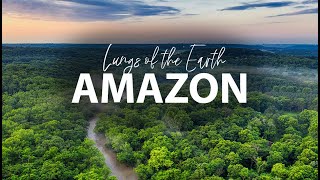 Amazon Jungle - Lungs of the earth | Drone footage