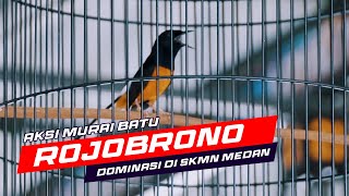 Rojobrono Akhirnya Kembali Dominasi Juara di SKMN Medan