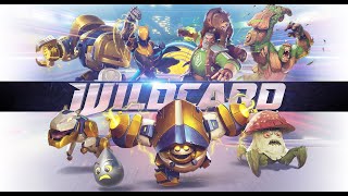 WildCard: Are You Ready To Get Wild?