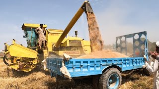 Holland Combine Wheat Harvester Machine | Village Life in Pakistan