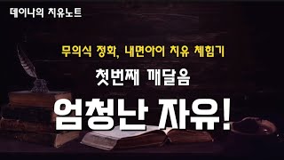 데이나의 첫번째 깨달음! 무의식 정화, 내면아이 치유, 내려놓음, 알아차림