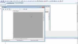 Creating Crystal Report in Visual Basic 2008