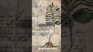 El Misterio del Manuscrito de Voynich 📖