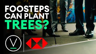 Pavegen and HSBC team up to plant trees!