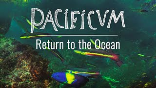 Pacíficum - Return To The Ocean