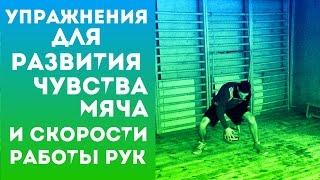 Баскетбол. Упражнения для развития чувства мяча и скорости работы рук. Тренировка дриблинга.