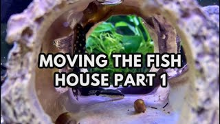 Moving My Fish House Locally - Part 1