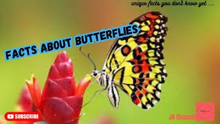 7 Interesting Facts About Butterflies, Unique facts you don't know yet…