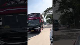 Seasyik ini NAIKO kalo denger bus SIERRA bernyanyi #basuri #telolet #busmania #buspariwisata