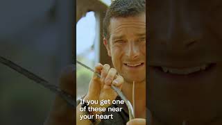 Spotting a stingray | The Island with Bear Grylls