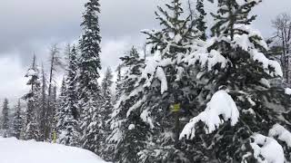 Colorado skiing